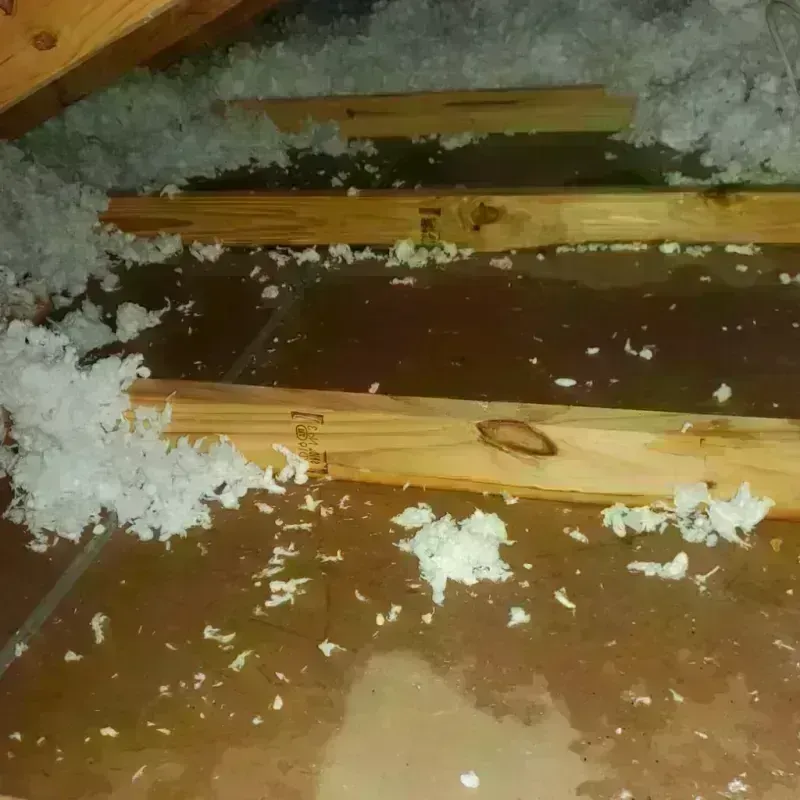 Attic Water Damage in Center City, MN