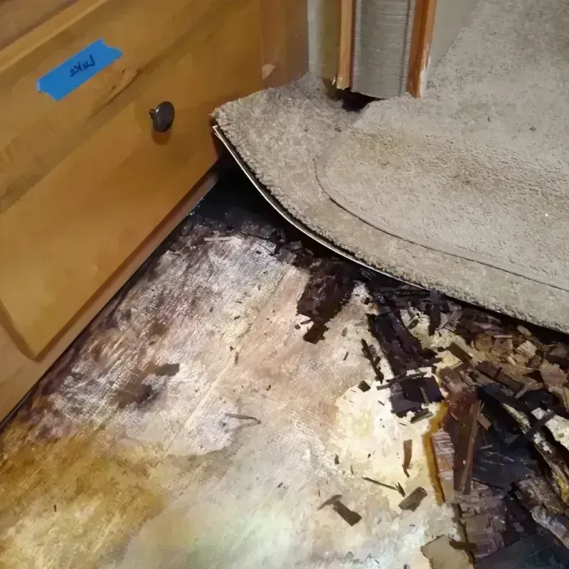 Wood Floor Water Damage in Center City, MN